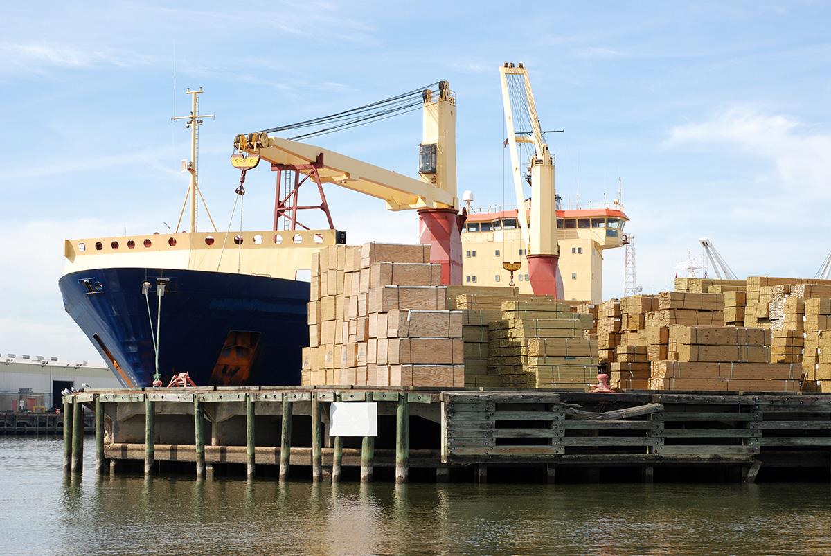 Japan’s softwood lumber imports slump as European supply drops by a third