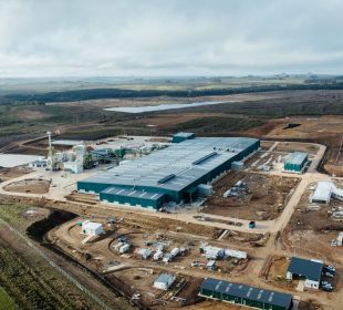 LUMIN nears half a million m³ of plywood capacity with new Uruguay mill