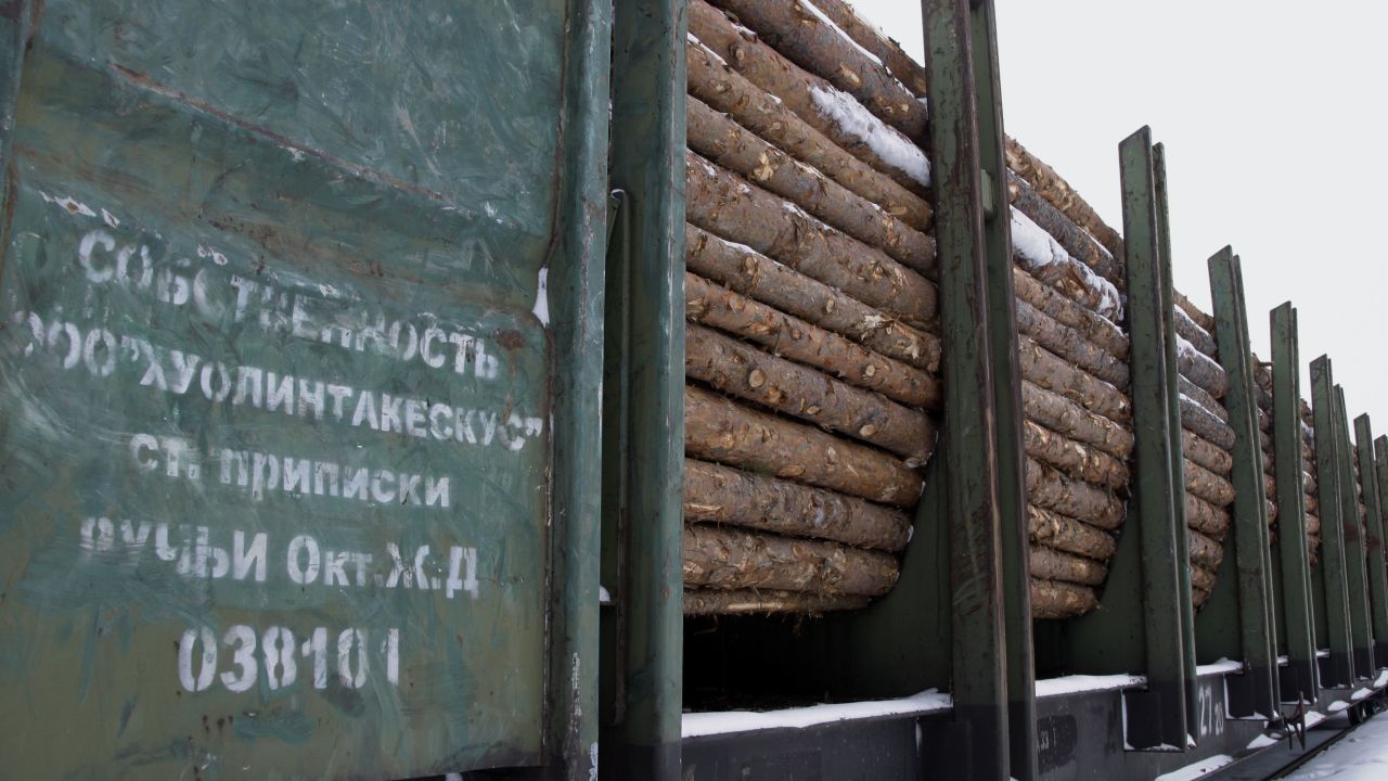 Russia considers wider log exports as sawmills warn of damage to softwood lumber trade