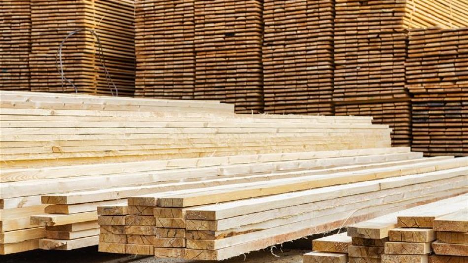 Top CEO changes in the Nordic sawmill sector