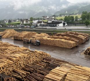 Austrian sawmills adjust procurement as export demand weakens