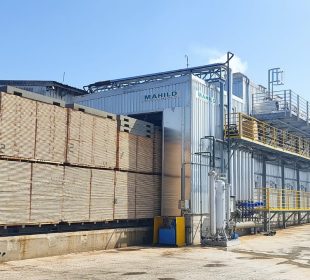 Chilean sawmill set for capacity expansion