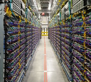 From Google to Drax and Palantir’s CEO, AI’s ties to forestry face scrutiny