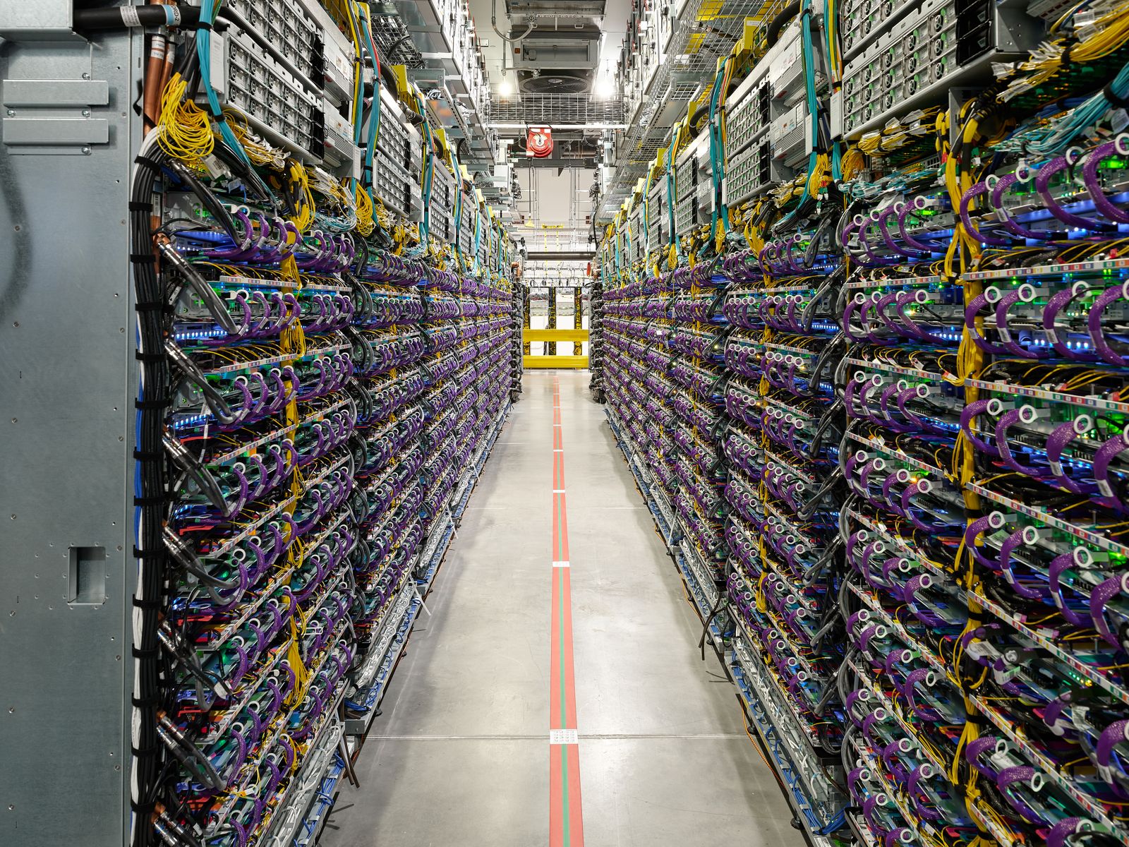 From Google to Drax and Palantir’s CEO, AI’s ties to forestry face scrutiny