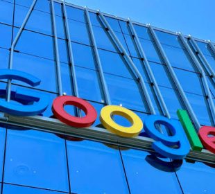 Google’s Finnish data center projects hit by forest clearing scandal