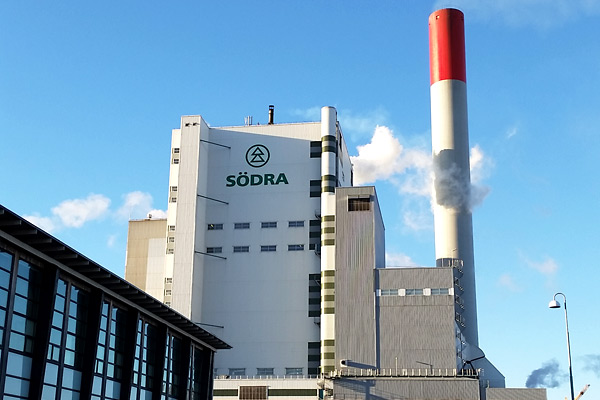 GWMI visits Södra: inside Värö’s sawmill and the forests behind it
