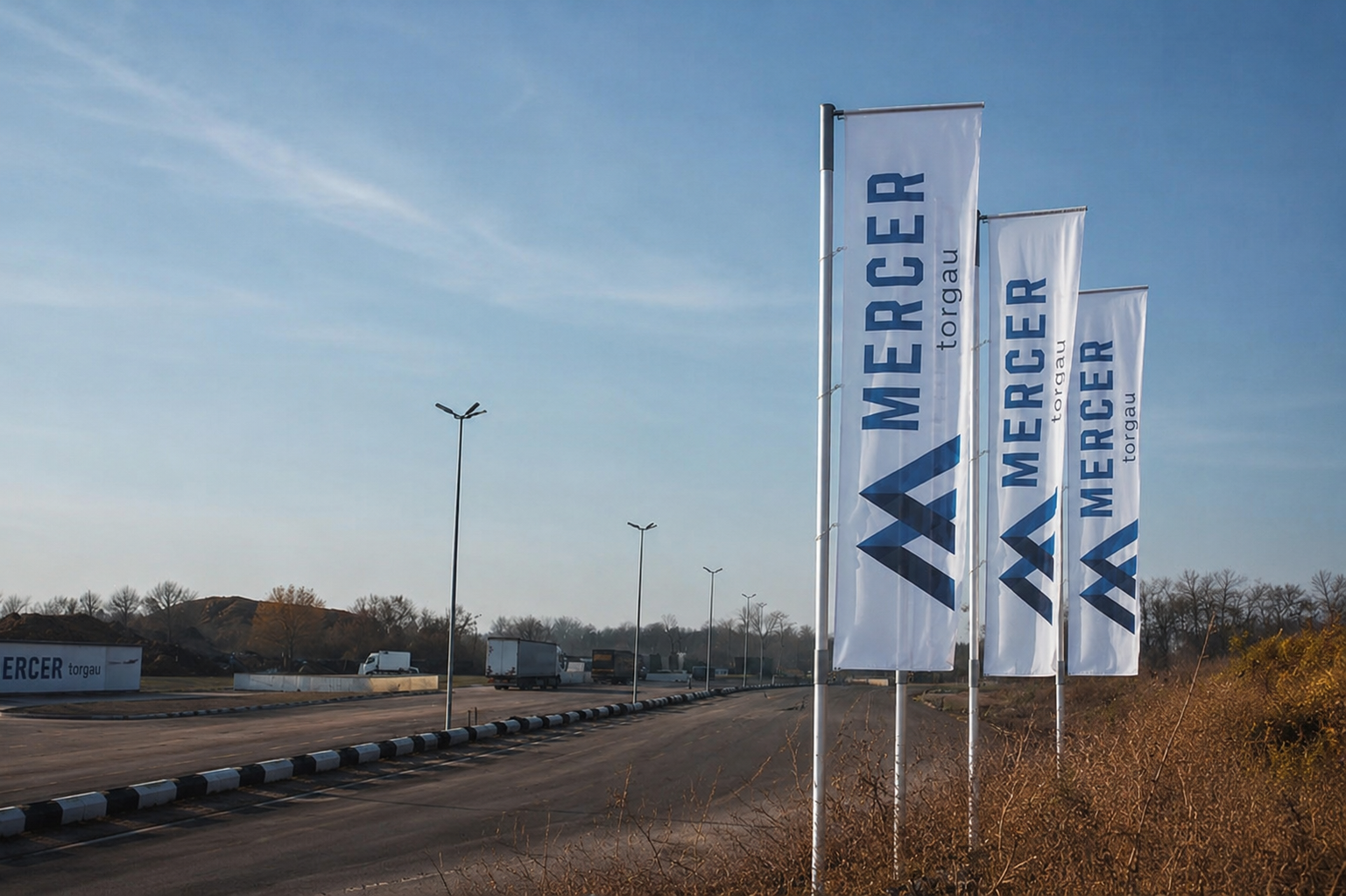 Mercer to delay bond interest payment as restructuring pressure mounts