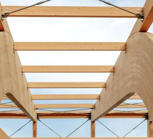 Palmako expands into Lithuania with Jūrės Medis acquisition