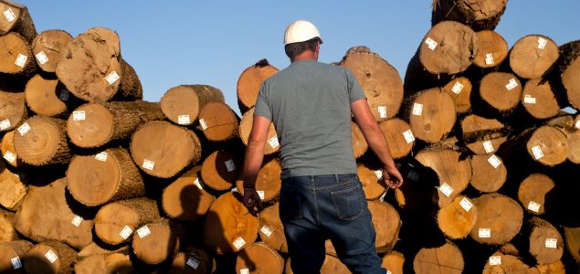 Türkiye reopens market to US oak after two-month disruption
