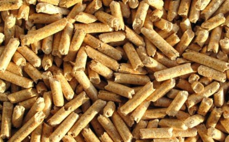 Japanese wood pellets imports set new record
