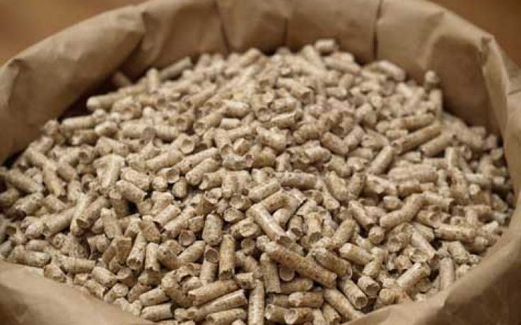 The imports of wood pellets in Japan went up by 50%