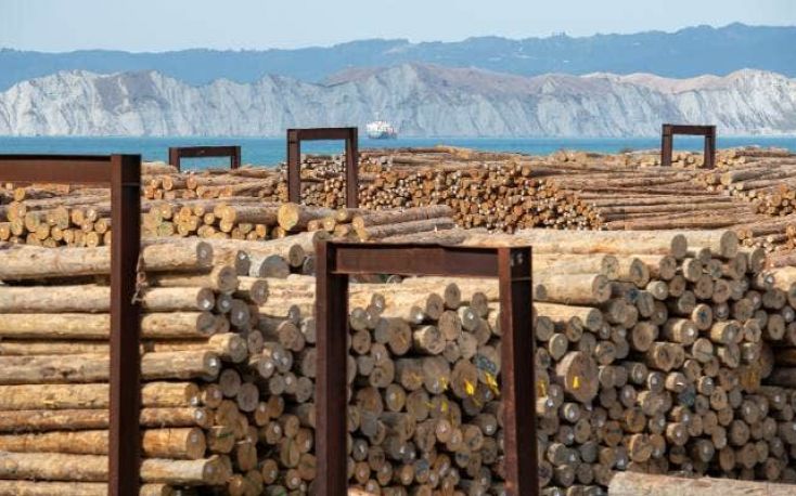 Progress reported with Australian log trade to China