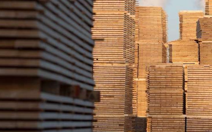 BSW Timber acquires Bayram Timber