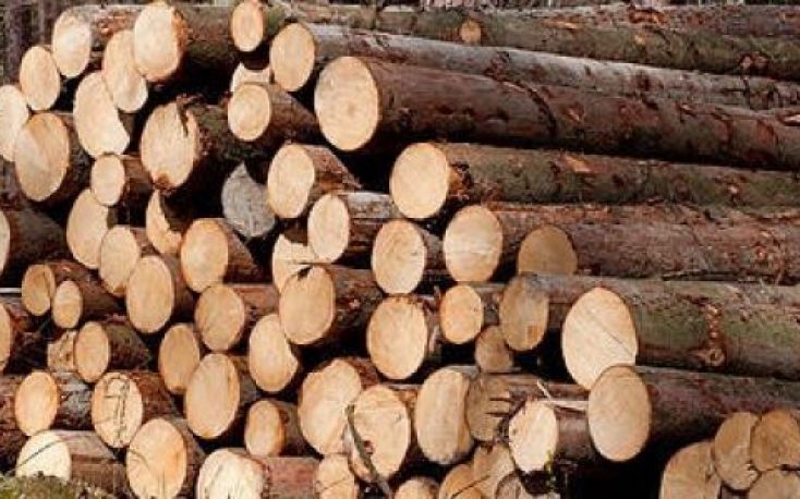Wood prices are rising sharply in Germany