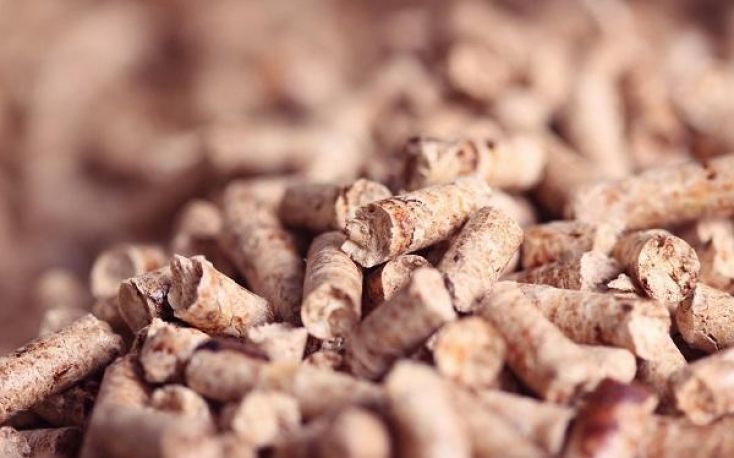 Concern that increased Turkish wood pellet exports originate from Russia