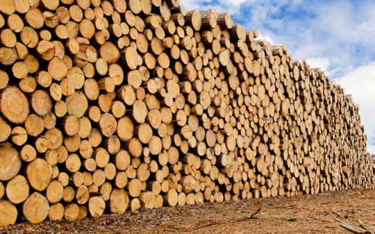 China’s log imports fall sharply through April