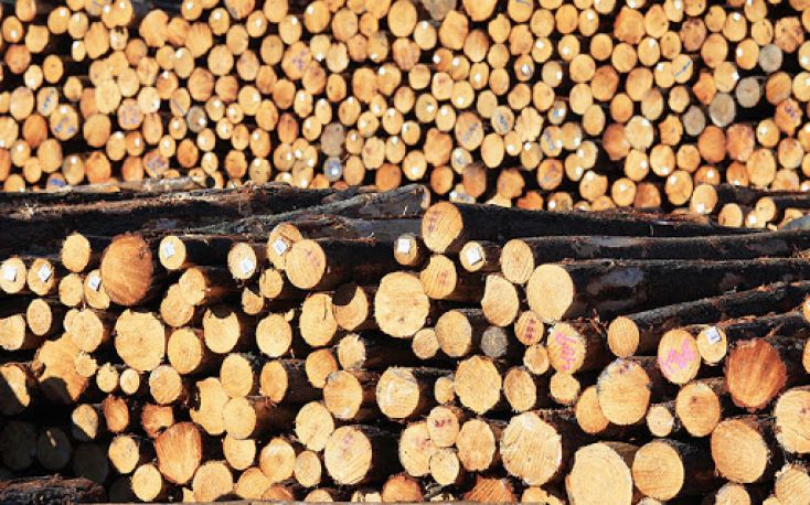 Booming trend in European log exports to China unlikely to continue